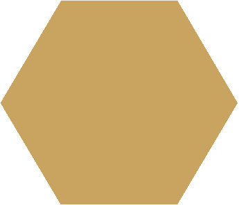 Winckelmans Hexagon Jaune, 50 x 50 x 5 (op net)