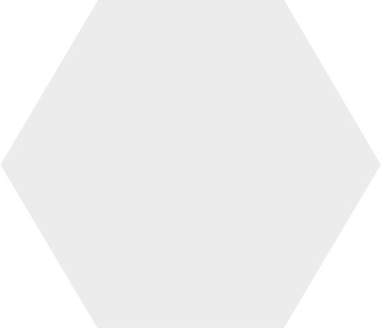 Winckelmans Hexagon Superblanc, 50 x 50 x 5 (op net)