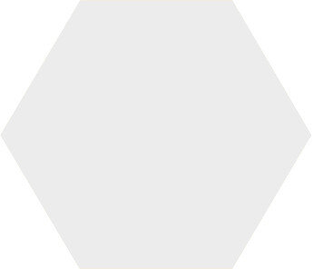 Winckelmans Hexagon Superblanc, 25 x 25 x 9 (op net)