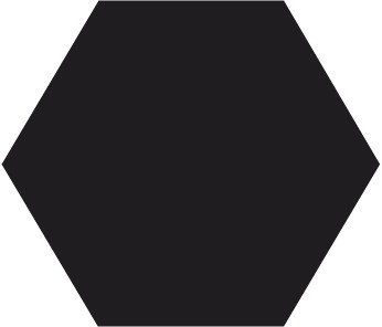 Winckelmans Hexagon Noir, 25 x 25 x 3,8 (op net)