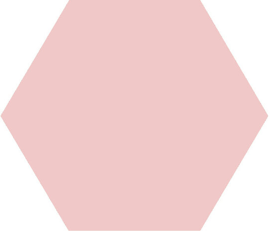 Winckelmans Hexagon Rose, 50 x 50 x 5 (op net)
