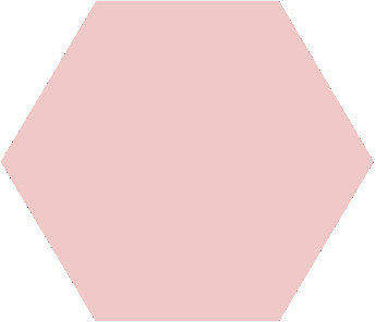 Winckelmans Hexagon Rose, 25 x 25 x 3,8 (op net)