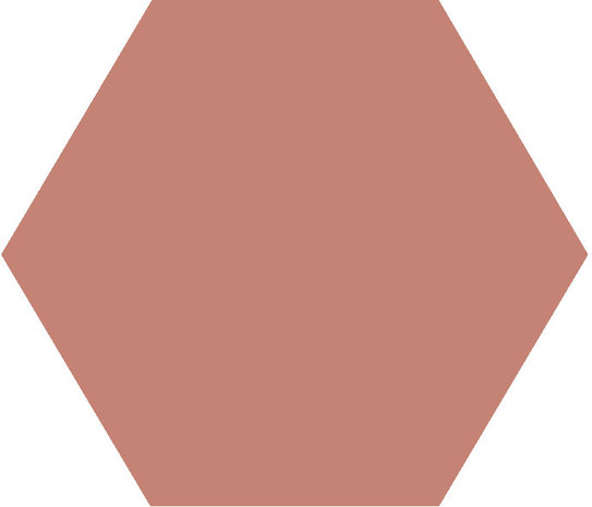 Winckelmans Hexagon Vieux Rose, 50 x 50 x 5 (op net)