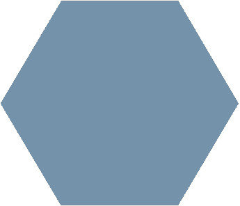 Winckelmans Hexagon bleu, 25 x 25 x 3,8 (op net)