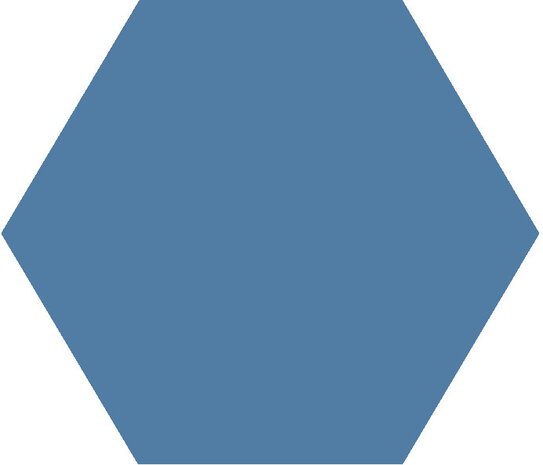 Winckelmans Hexagon Bleu Fonce, 50 x 50 x 5 (op net)