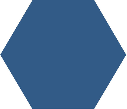Winckelmans Hexagon Bleu Nuit, 50 x 50 x 5 (op net)