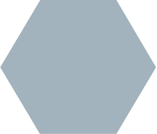 Winckelmans Hexagon Bleu Pale, 50 x 50 x 5 (op net)
