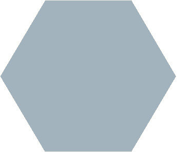 Winckelmans Hexagon Bleu Pale, 25 x 25 x 3,8 (op net)