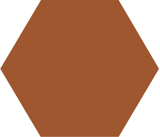 Winckelmans Hexagon Caramel, 50 x 50 x 5 (op net)