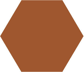 Winckelmans Hexagon Caramel, 25 x 25 x 9 (op net)
