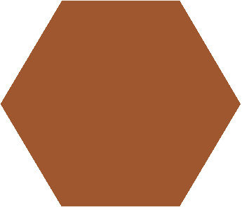 Winckelmans Hexagon Caramel, 25 x 25 x 3,8 (op net)