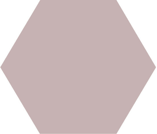 Winckelmans Hexagon Parme, 50 x 50 x 5 (op net)