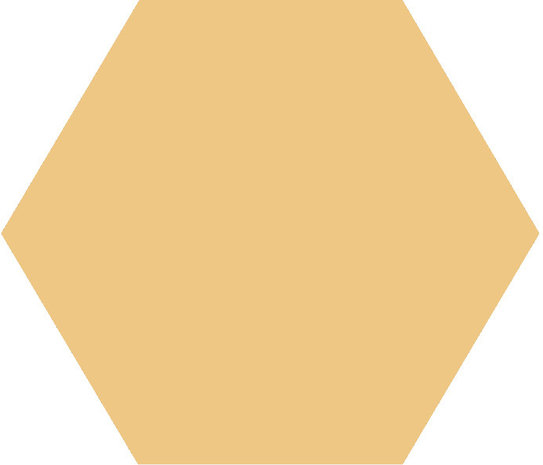 Winckelmans Hexagon Cognac, 50 x 50 x 5 (op net)