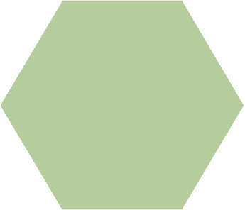 Winckelmans Hexagon Pistache, 25 x 25 x 9 (op net)