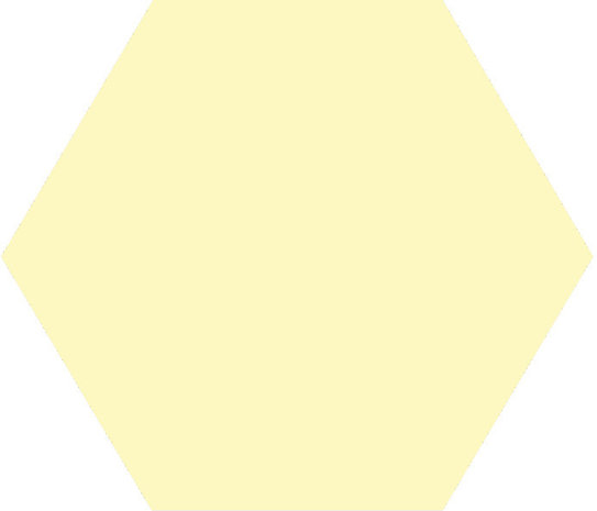 Winckelmans Hexagon Vanille, 25 x 25 x 3,8 (op net)