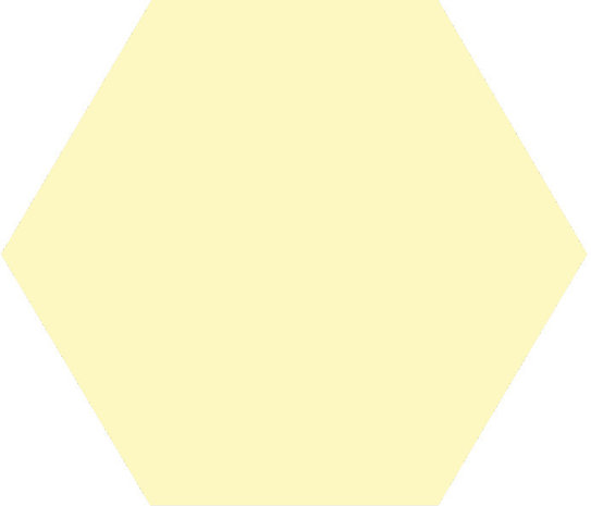 Winckelmans Hexagon Vanille, 50 x 50 x 5 (op net)