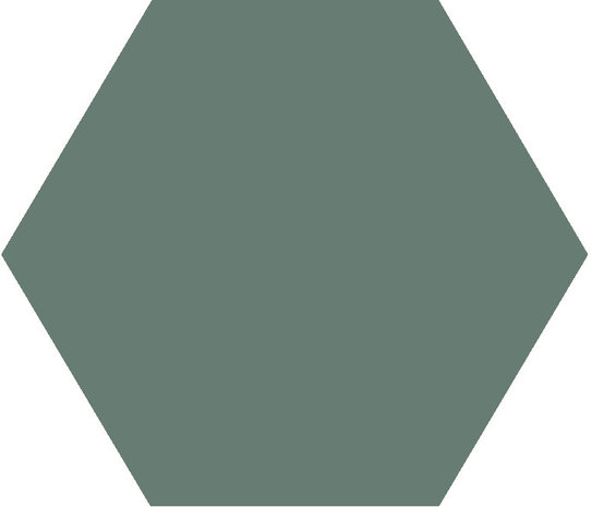 Winckelmans Hexagon Vert, 50 x 50 x 5 (op net)