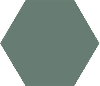 Winckelmans Hexagon Vert, 25 x 25 x 3,8 (op net)