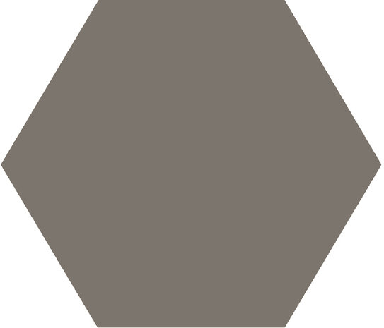 Winckelmans Hexagon anthracite, 25 x 25 x 3,8 (op net)