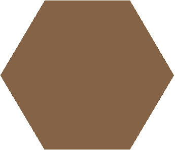 Winckelmans Hexagon Havane, 50 x 50 x 5 (op net)