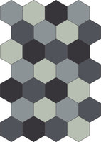 Bisazza cementtegel Hexagon Inverno E 200 x 230