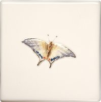 Butterflies Swallowtail 100 x 100