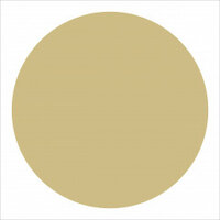 Winckelmans Rounds Cognac, 32 x 3,8 (op net)