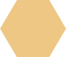 Winckelmans Hexagon Cognac, 100 x 100 x 9