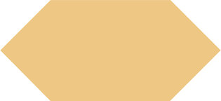 Winckelmans Shuttles Cognac, 150 x 70 x 9