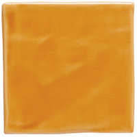 Amber 105mm Field Tile, 105 x 105 x 10