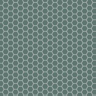 Winckelmans Hexagon 50 mm (op net 295 x 281 x 5)