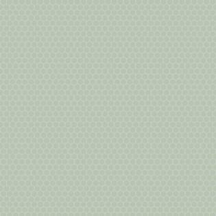 Winckelmans Hexagon 25 mm (op net 295 x 280 x 3,8)