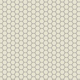 Winckelmans Hexagon 50 mm (op net 295 x 281 x 5)