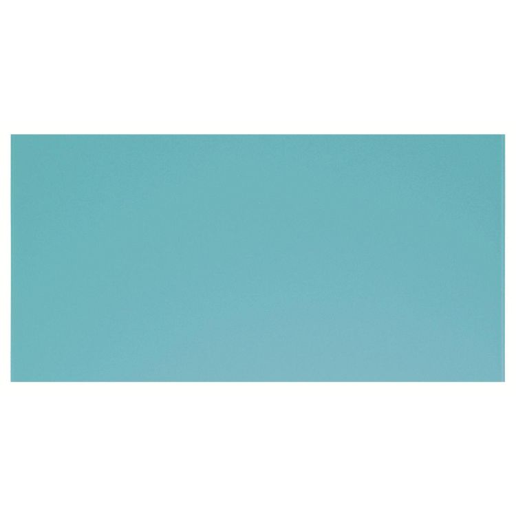 Clear 600 x 300 x 6