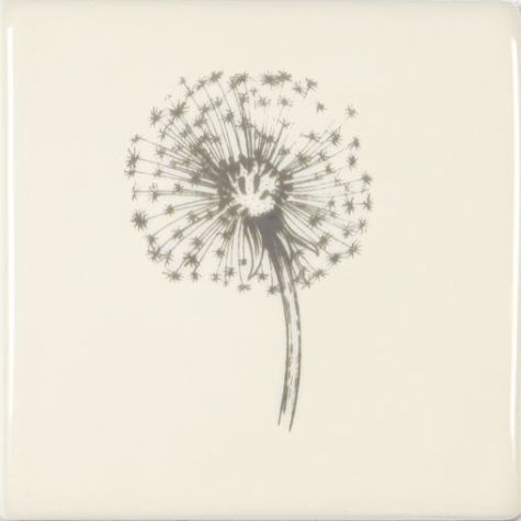 Dandelion 127 x 127 x 10