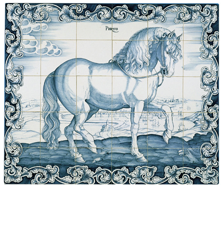 Phryso omlijst 650 x 780 x 8