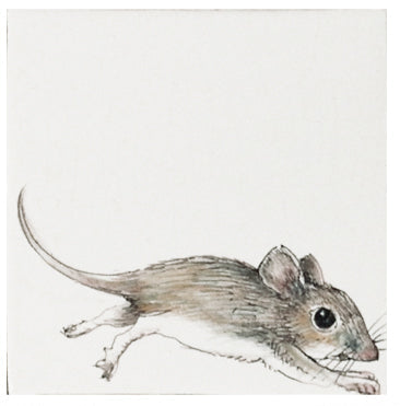 Muis 2  - 130 x 130