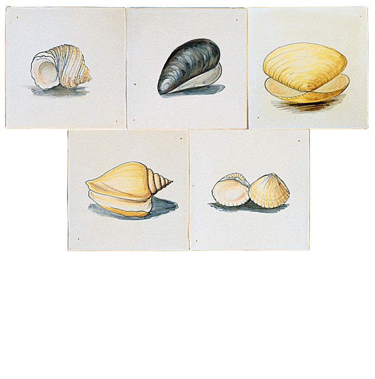 Schelpen  - 130 x 130  set (5 stuks)