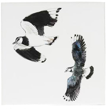 Kievit 1 - 130 x 130