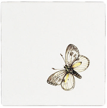 Vlinder 5  - 130 x 130