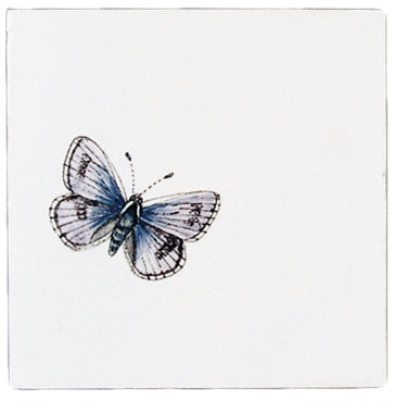 Vlinder 7  - 130 x 130
