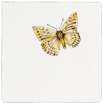 Vlinder 9  - 130 x 130