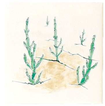 Waddenleven 1 - 130 x 130