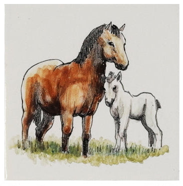 Paard met jongen 130 x 130 x 8
