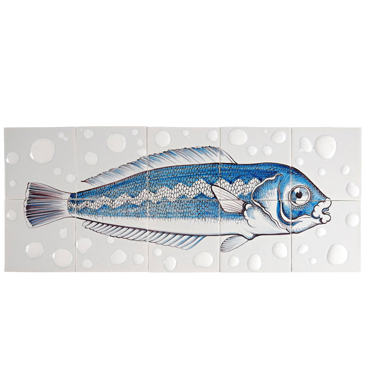 Fisk 7  - 260 x 650 x 8