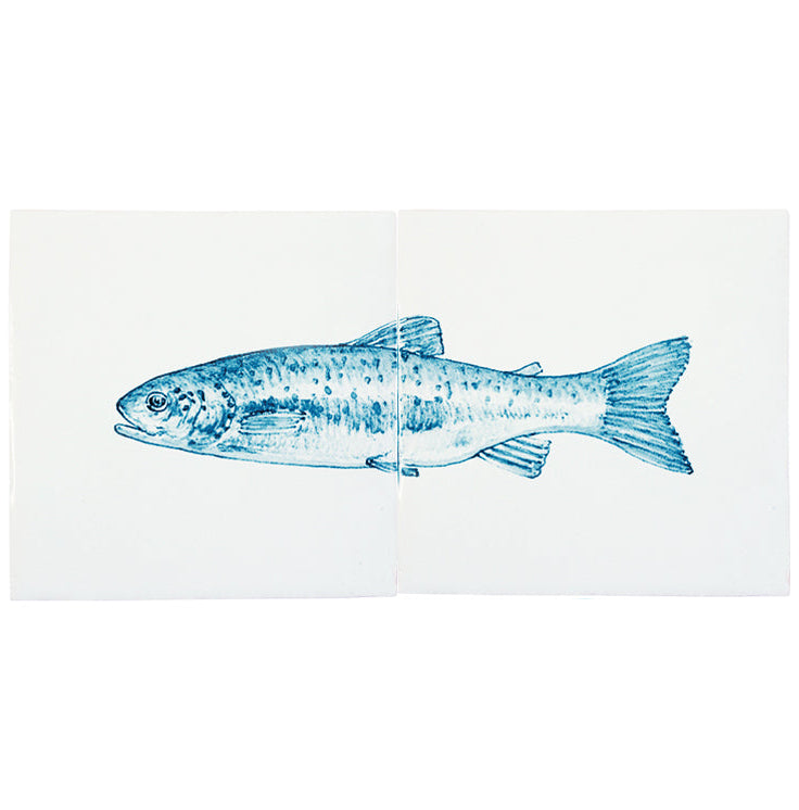 Vis Forel Blauw 130 x 260 x 8