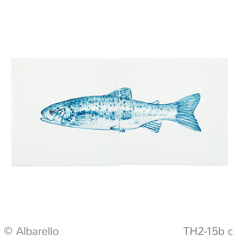 Vis Forel Blauw 130 x 260 x 8