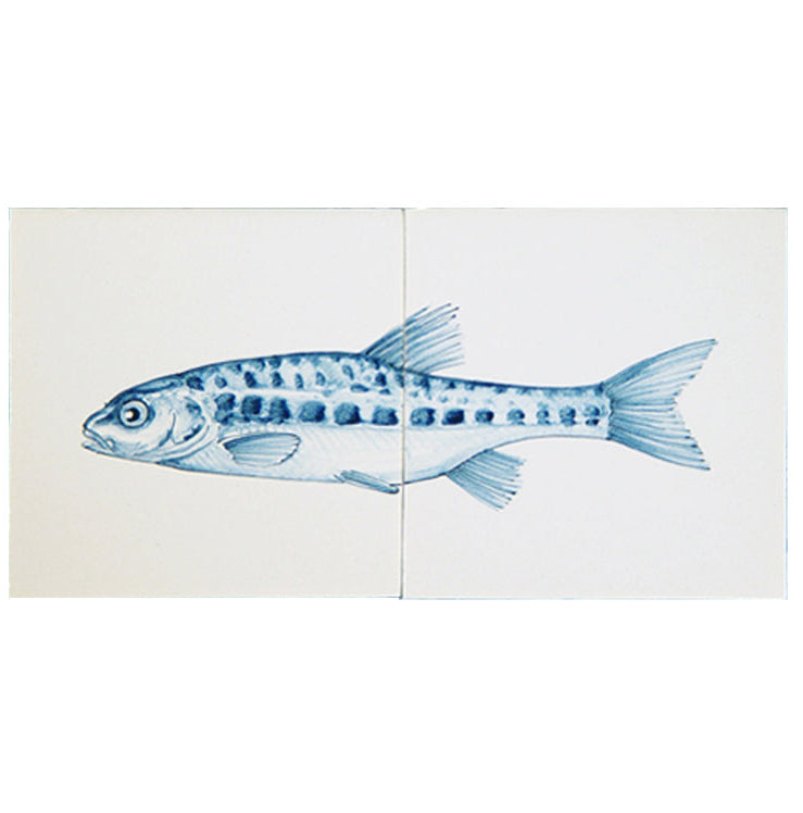 Vis Elrits Blauw 130 x 260 x 8