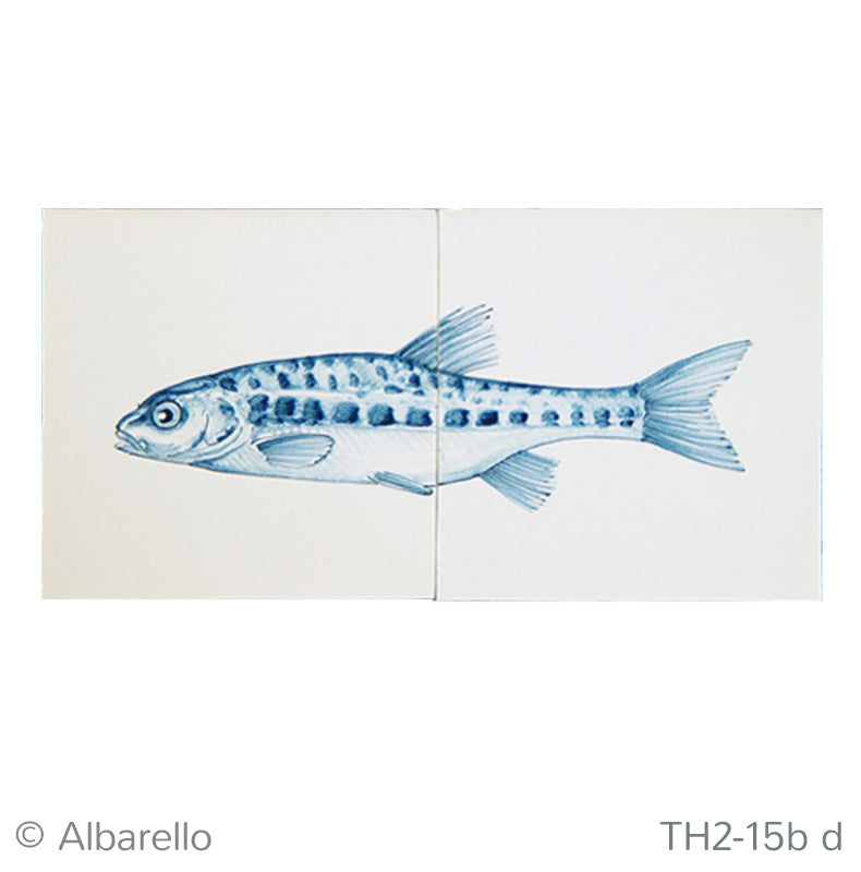 Vis Elrits Blauw 130 x 260 x 8