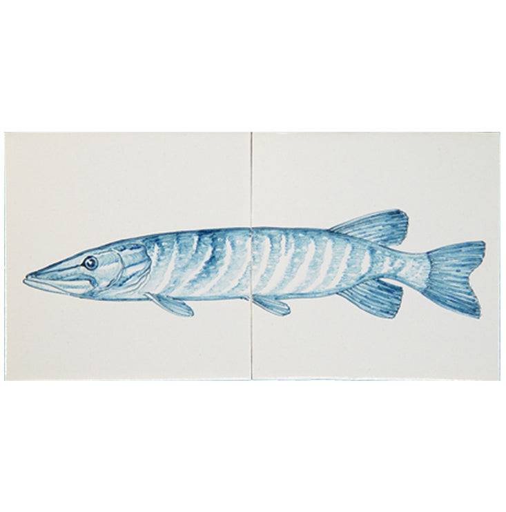 Vis Snoek Blauw 130 x 260 x 8